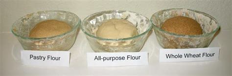 gluten ball experiment|flour experiment gluten.